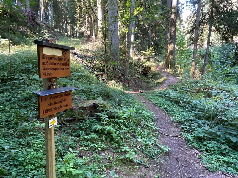 Waldweg mit Wegzeichen
